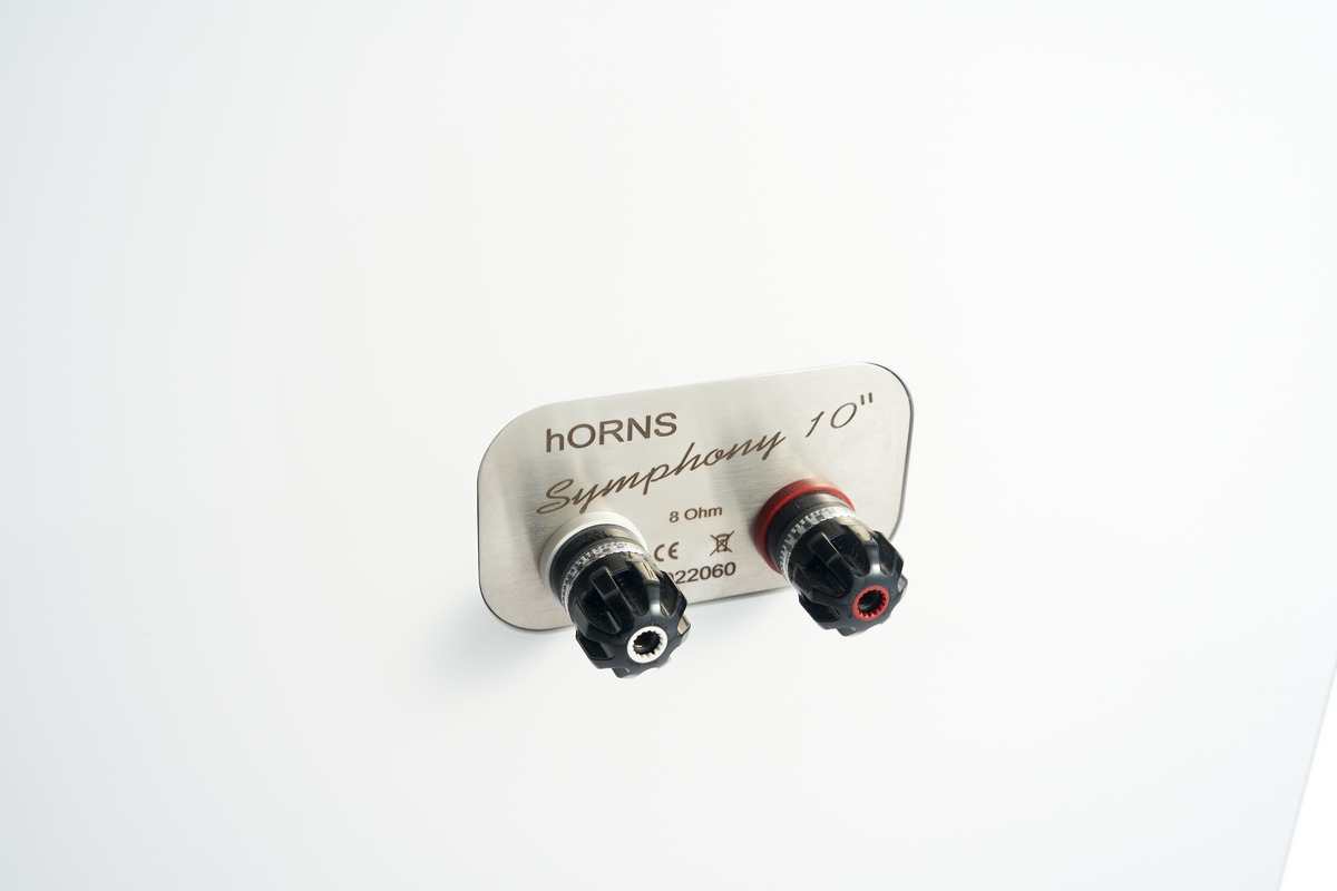 Symphony 10” - Hình ảnh 4